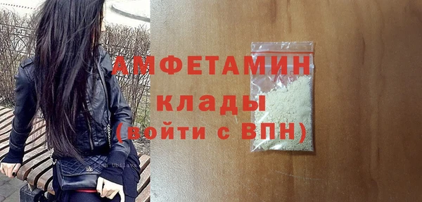 индика Краснослободск