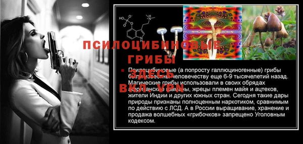 соль курить ск Алзамай